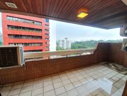 The Cairnhill (D9), Condominium #408375721